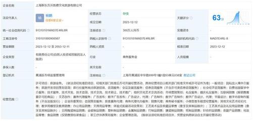 新東方文旅在上海成立新公司，擴展信息咨詢服務版圖